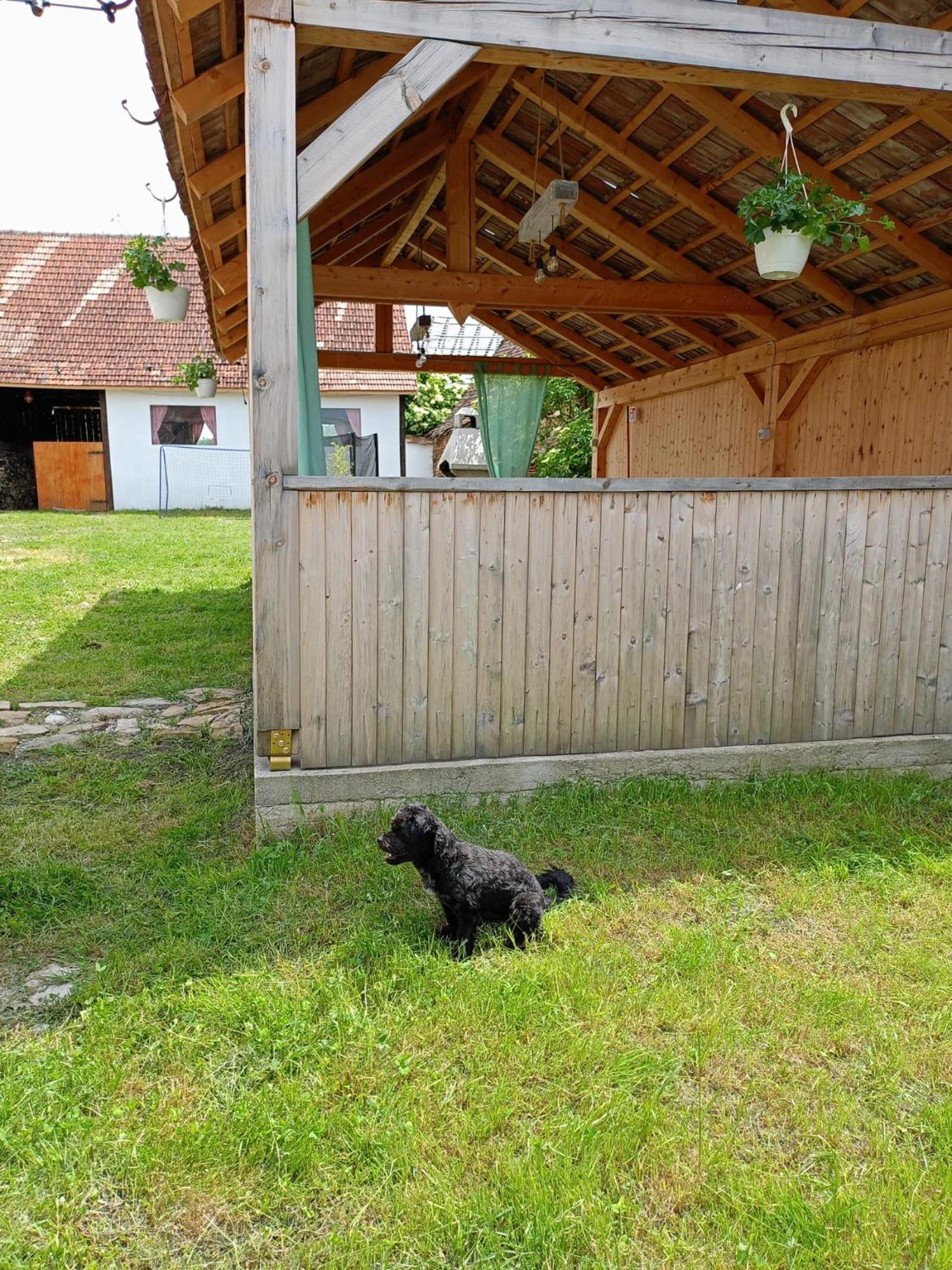 Chalet Giuel Barcut Exterior foto